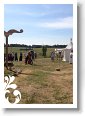 IMG_1947
