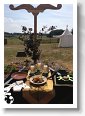 IMG_1949