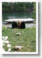 IMG_1933